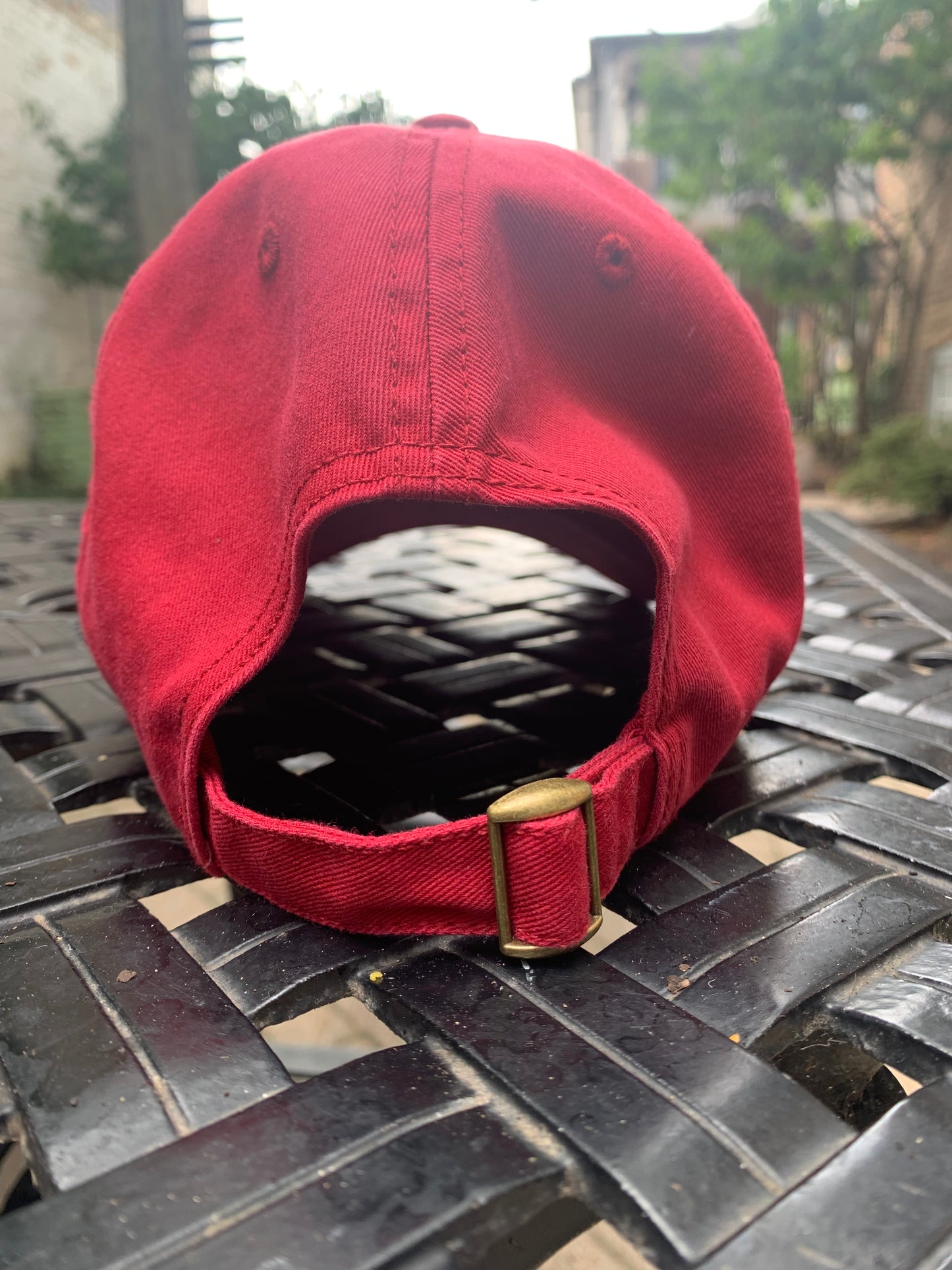 Hot Dog Dad Hat (Red)